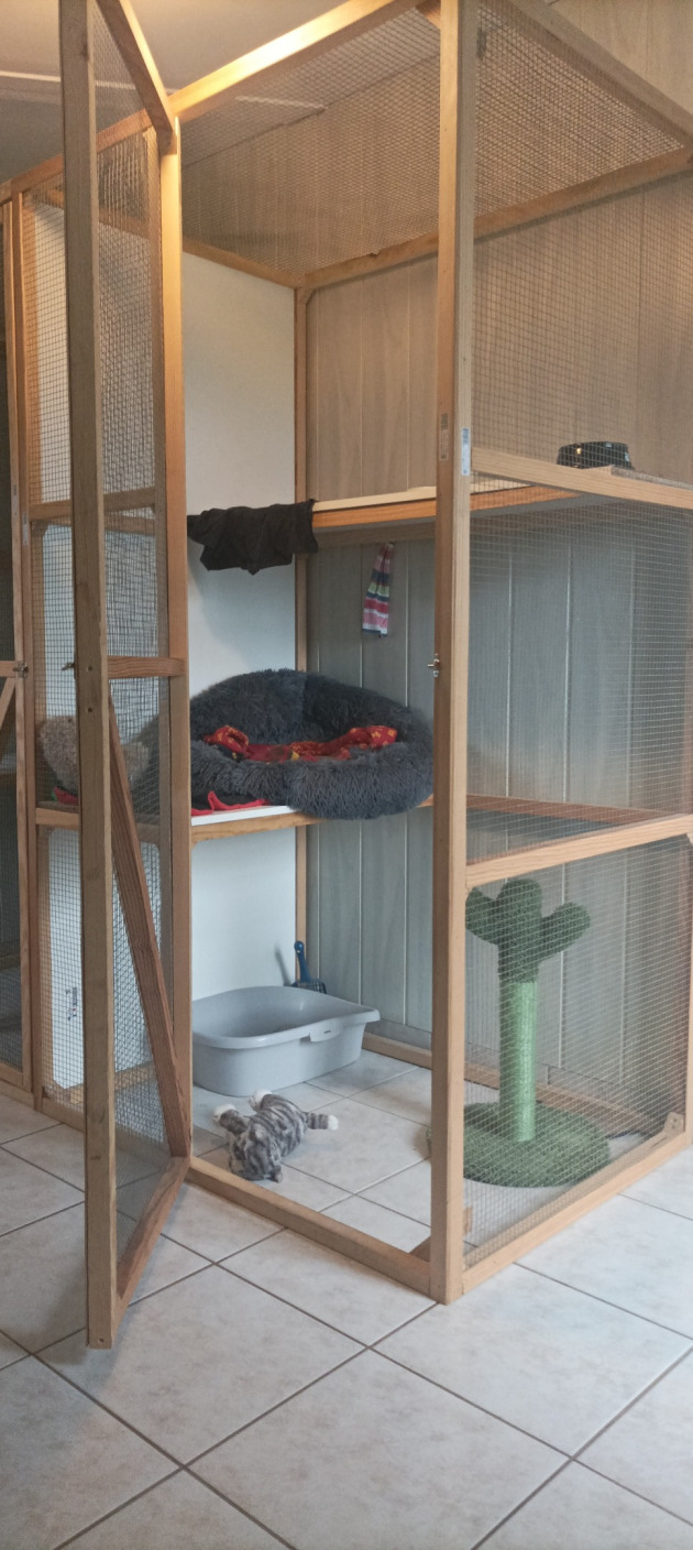 Indoor Room