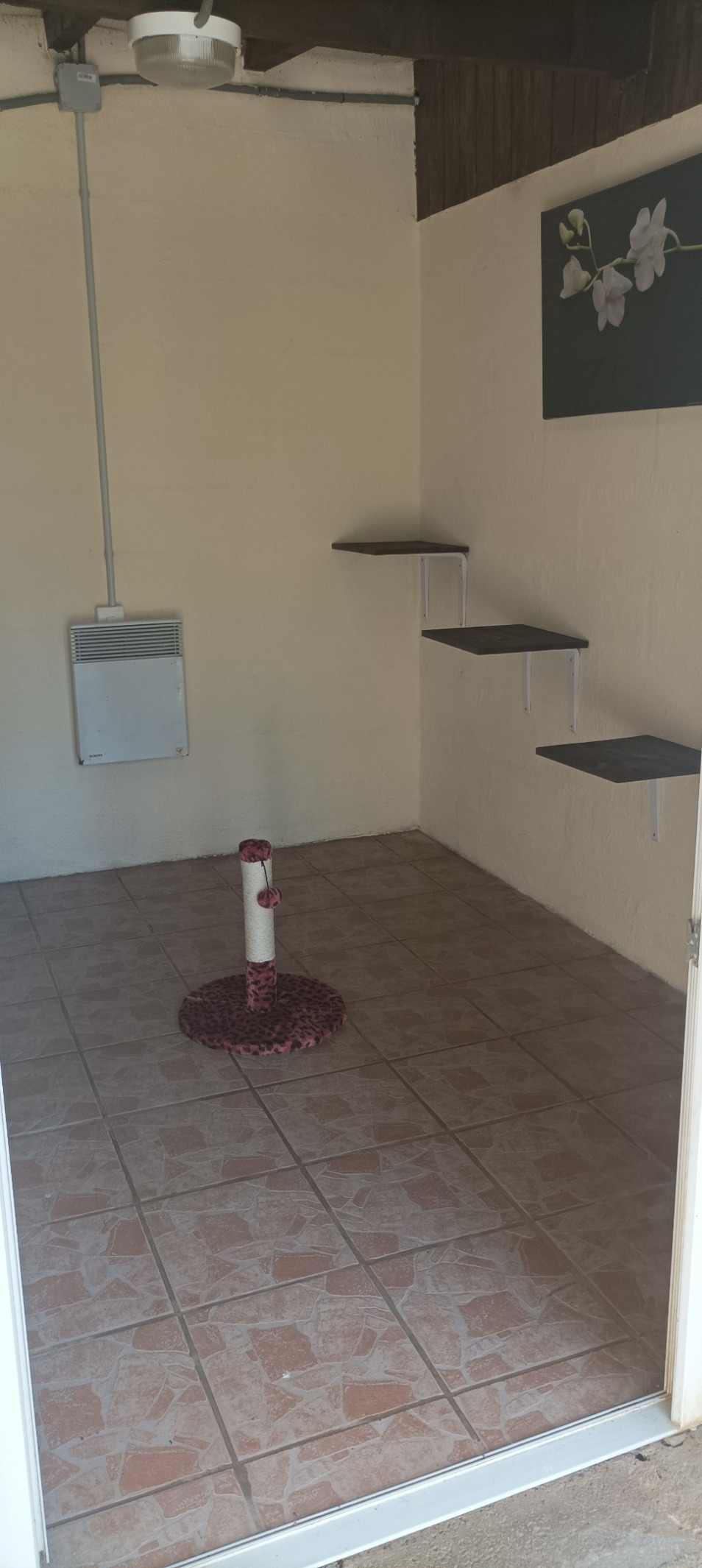 Large Room Patio Area
